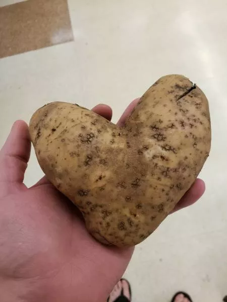 Picdump 485 - #49 