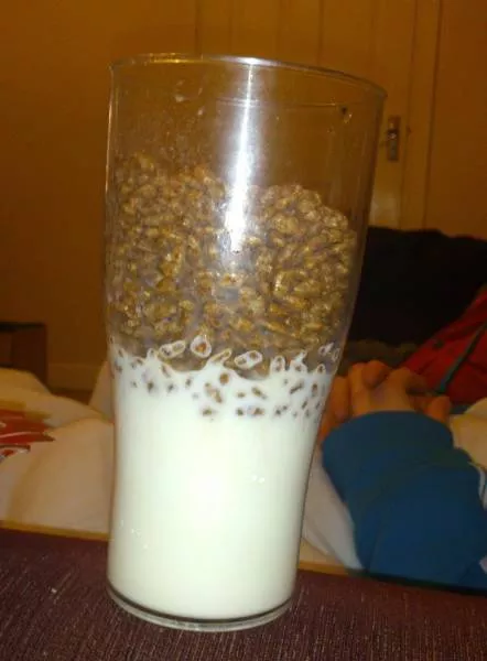 The laziest people alive - #10 The laziest people alive - #10