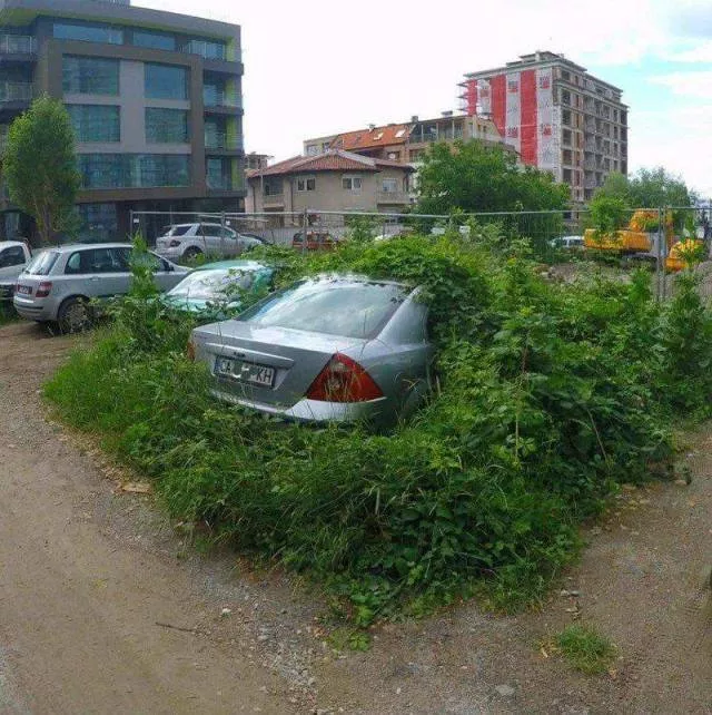 Picdump 486 - #3 Picdump 486 - #3