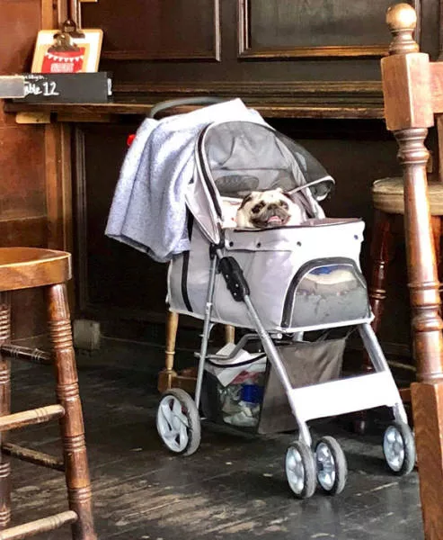 Picdump 487 - #3 