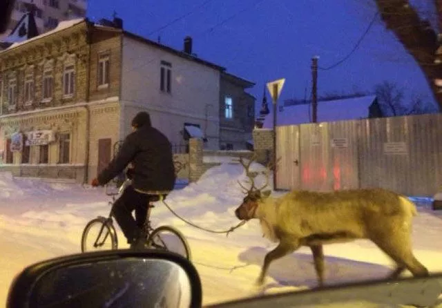 Ces choses en russie sont la norme - #14 
