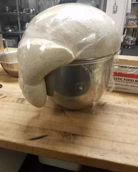 Cooking is not for everyone