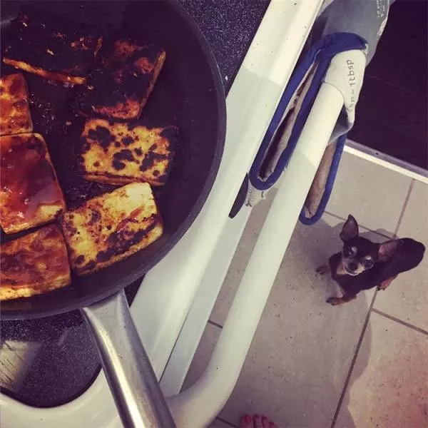 Cooking is not for everyone - #24 