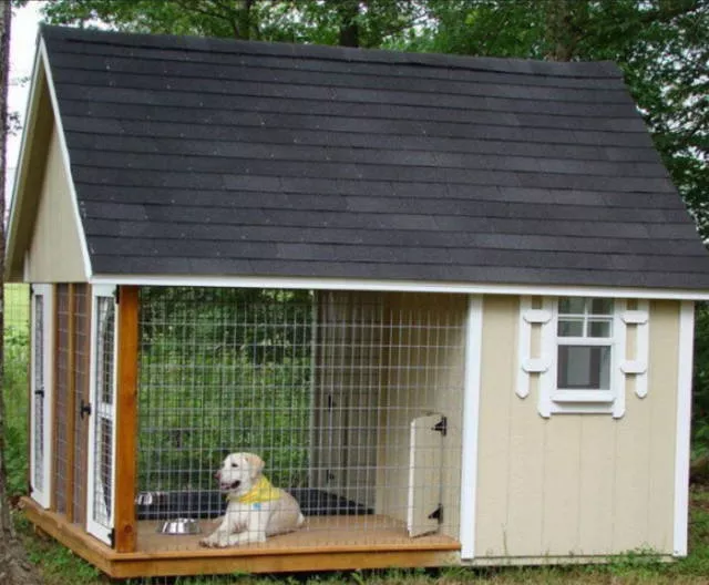 Picdump 488 - #11 