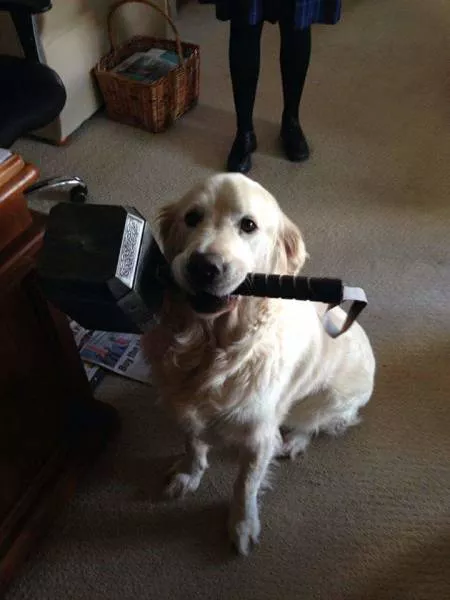 Picdump 488 - #13 