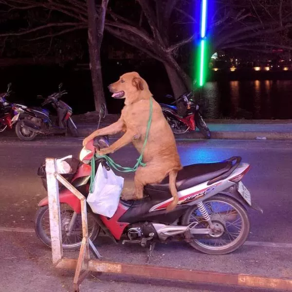 Picdump 488 - #16 
