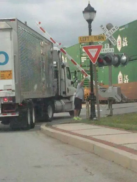 Picdump 488 - #31 