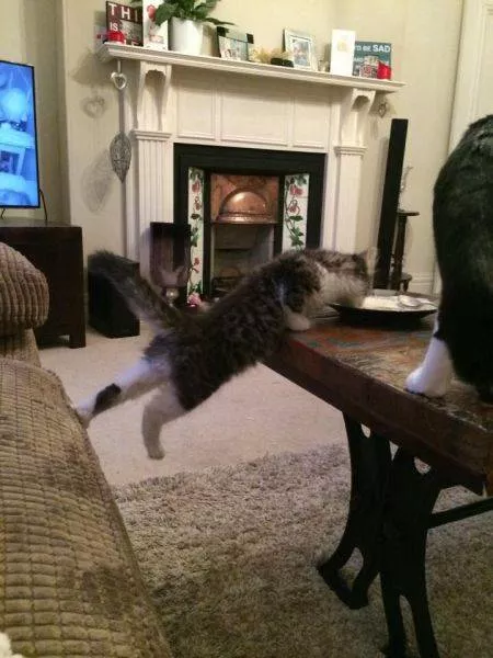 Picdump 488 - #35 