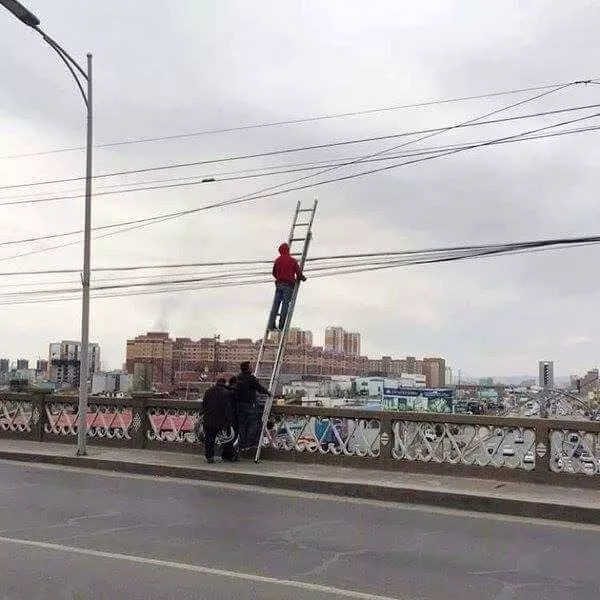 Picdump 488 - #39 
