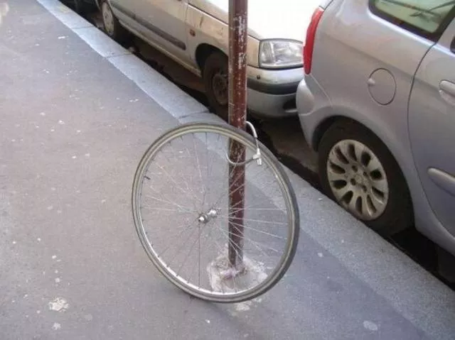 Picdump 488 - #6 