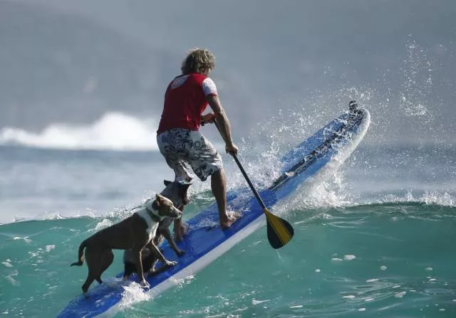 Picdump 489 - #10 