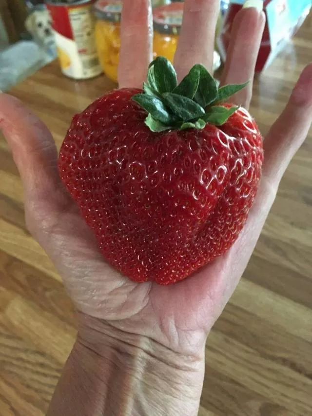 Picdump 489 - #23 