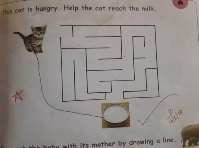 Picdump 489 - #4 