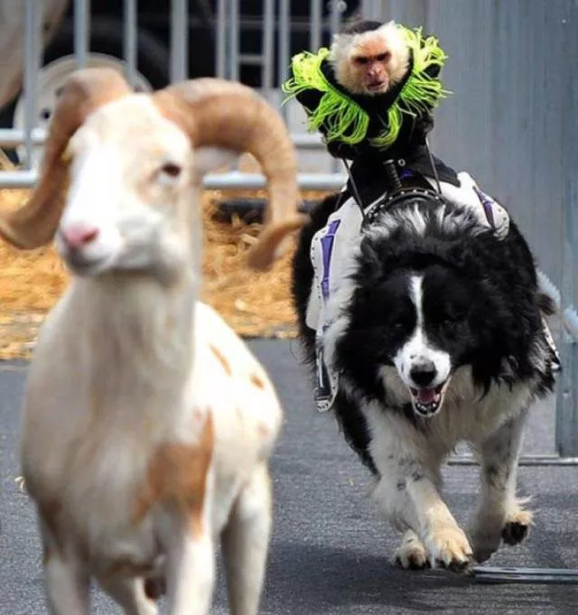Picdump 489 - #43 