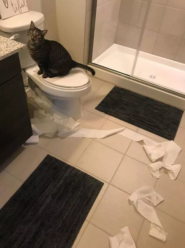 Picdump 489 - #5 