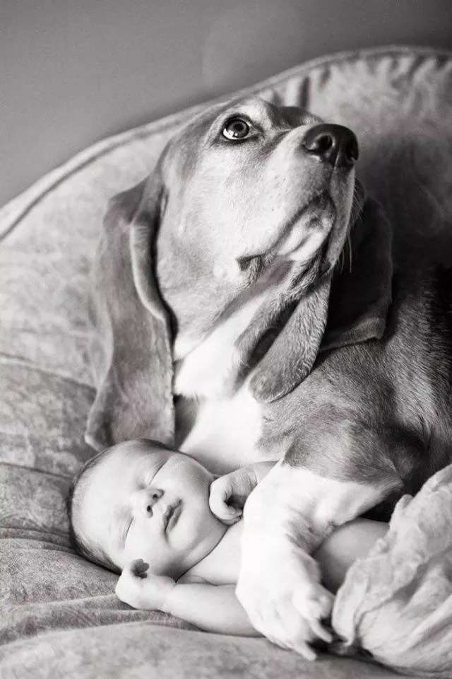 Picdump 489 - #7 