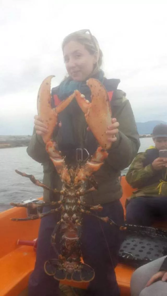Picdump 490 - #23 