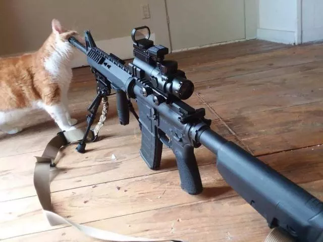 Picdump 490 - #45 