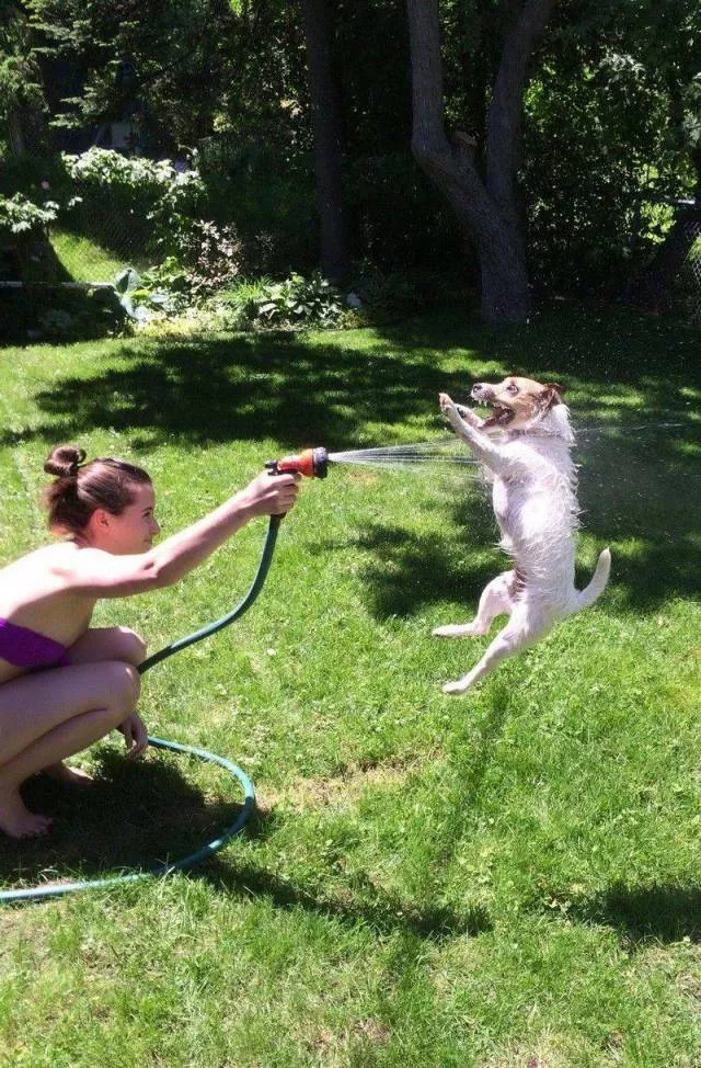 Picdump 490 - #5 