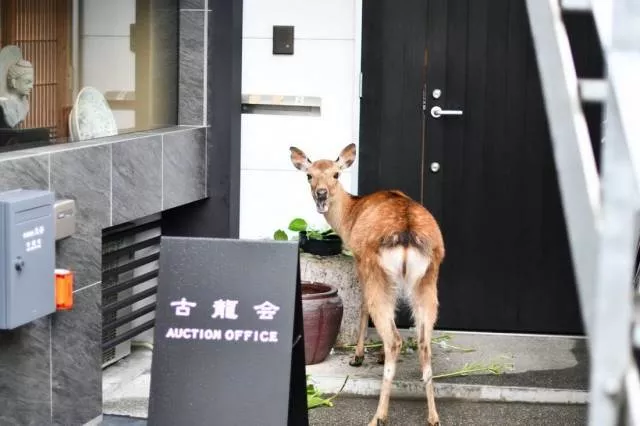 Picdump 490 - #60 