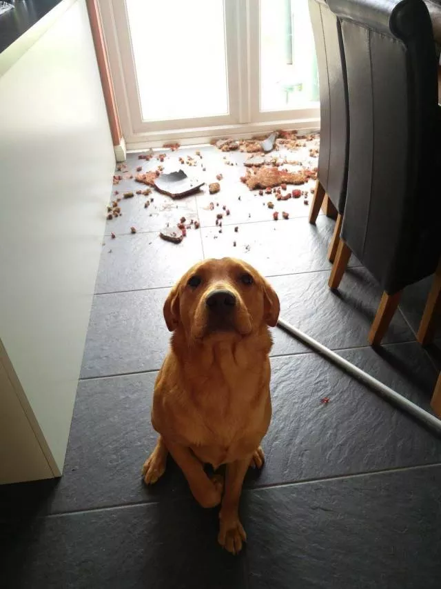 Picdump 490 - #65 