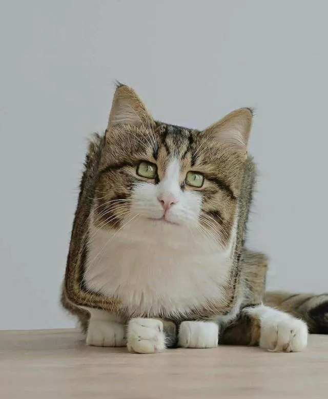 Picdump 490 - #68 