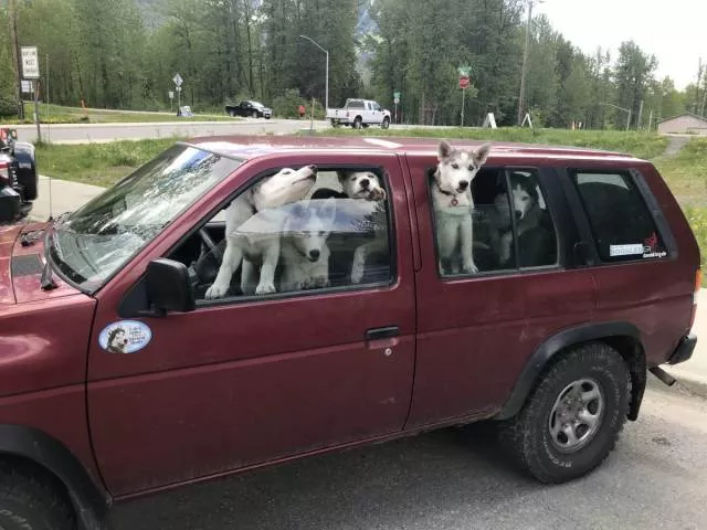 Picdump 490 - #71 