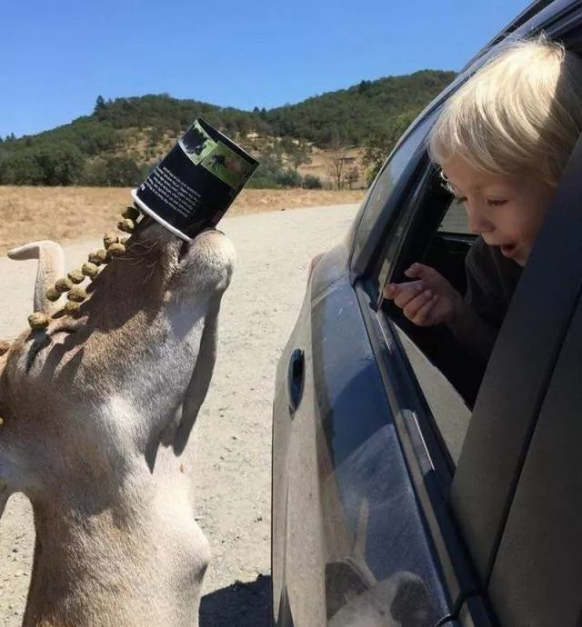 Picdump 490 - #72 