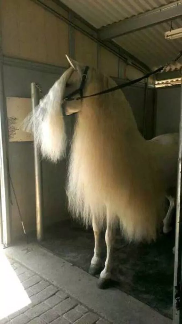 Picdump 490 - #82 