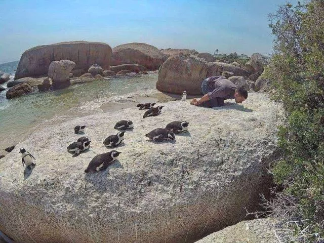 Picdump 490 - #90 