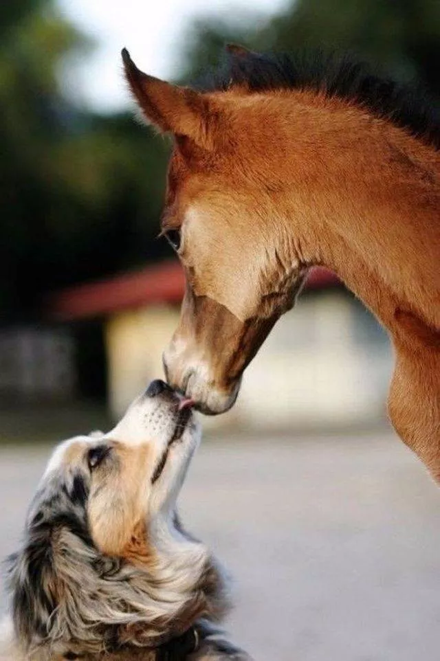 Photos les plus likees - #24 Photos les plus likees - #24