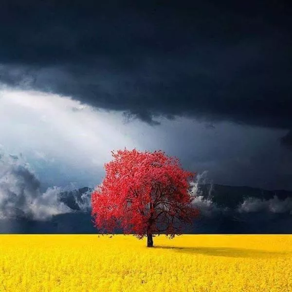The most liked photos - #25 