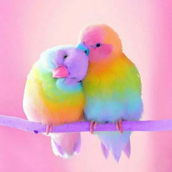 The most liked photos - #30 