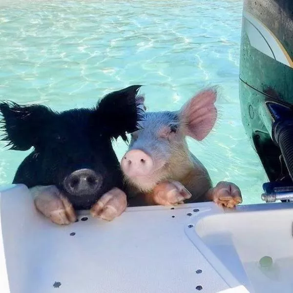 Photos les plus likees - #46 Photos les plus likees - #46