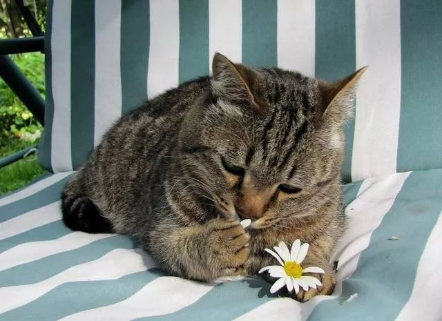 Photos les plus likees - #49 Photos les plus likees - #49