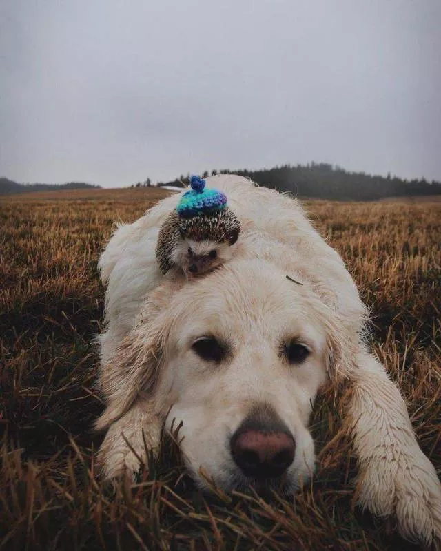 Photos les plus likees - #50 Photos les plus likees - #50