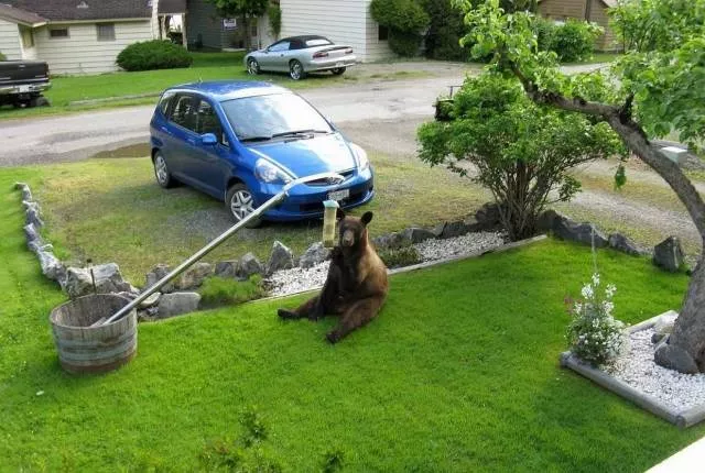 Picdump 83 - #14 