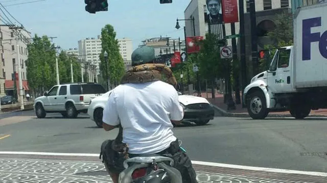 Picdump 83 - #2 