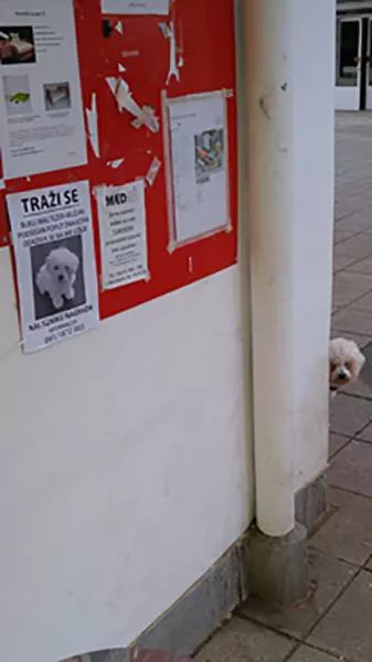 Picdump 83 - #24 