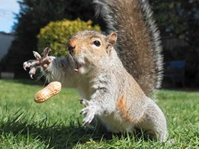Picdump 83 - #33 