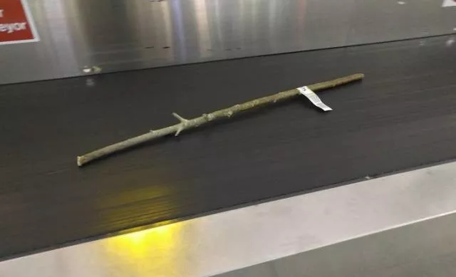 Les choses les plus etranges quon peut voir dans les aeroports - #15 