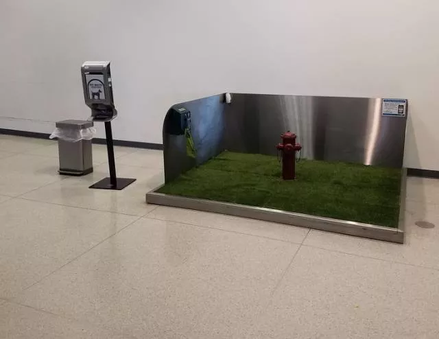 Les choses les plus etranges quon peut voir dans les aeroports - #22 