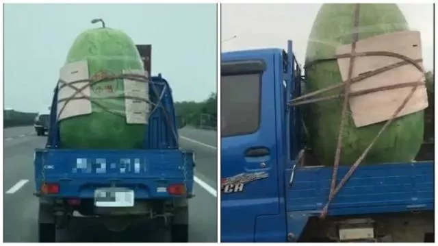 Picdump 491 - #32 
