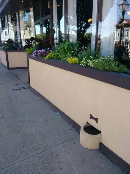 Picdump 491 - #41 