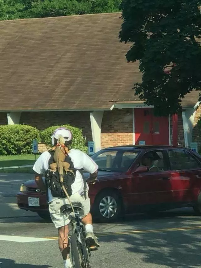 Picdump 491 - #47 