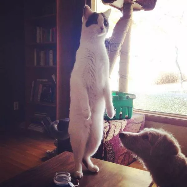 Picdump 491 - #50 