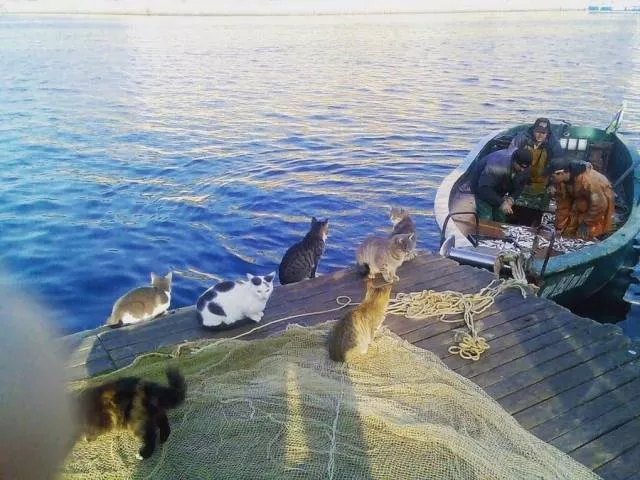 Picdump 491 - #65 