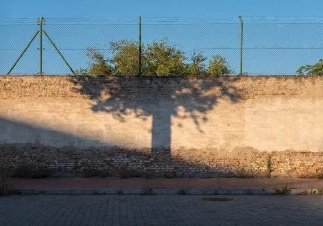 Picdump 491 - #81 