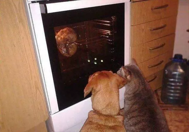 Picdump 491 - #85 