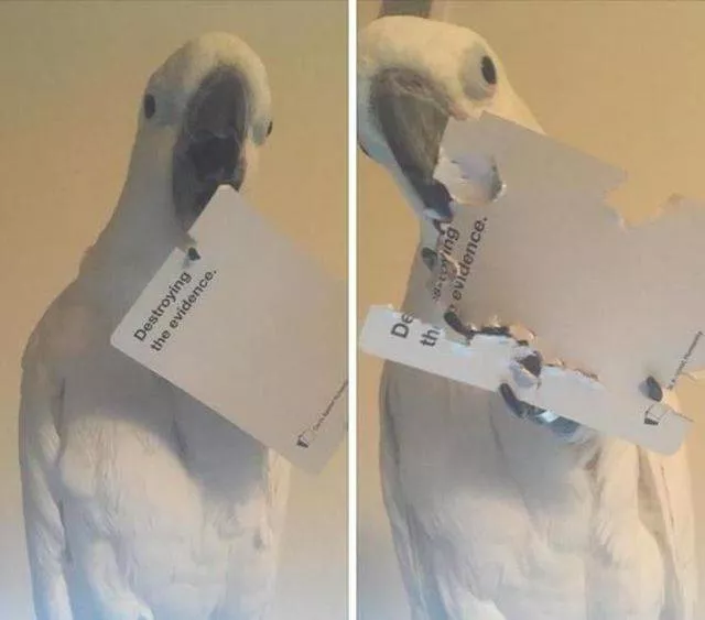 Picdump 491 - #89 
